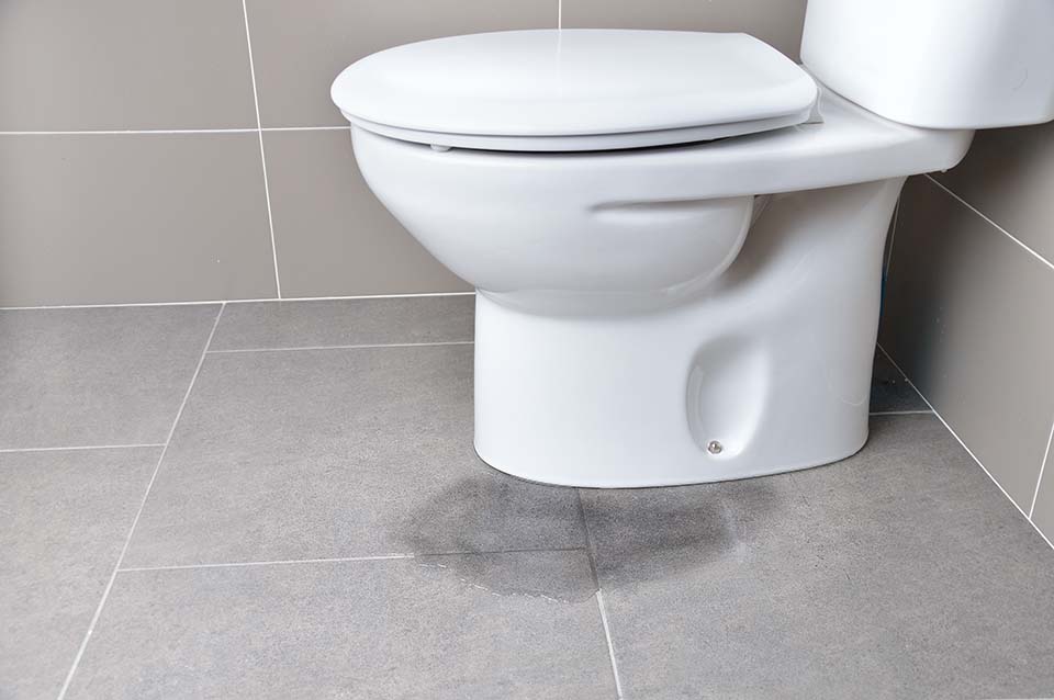 Most Common Areas For Water Leaks