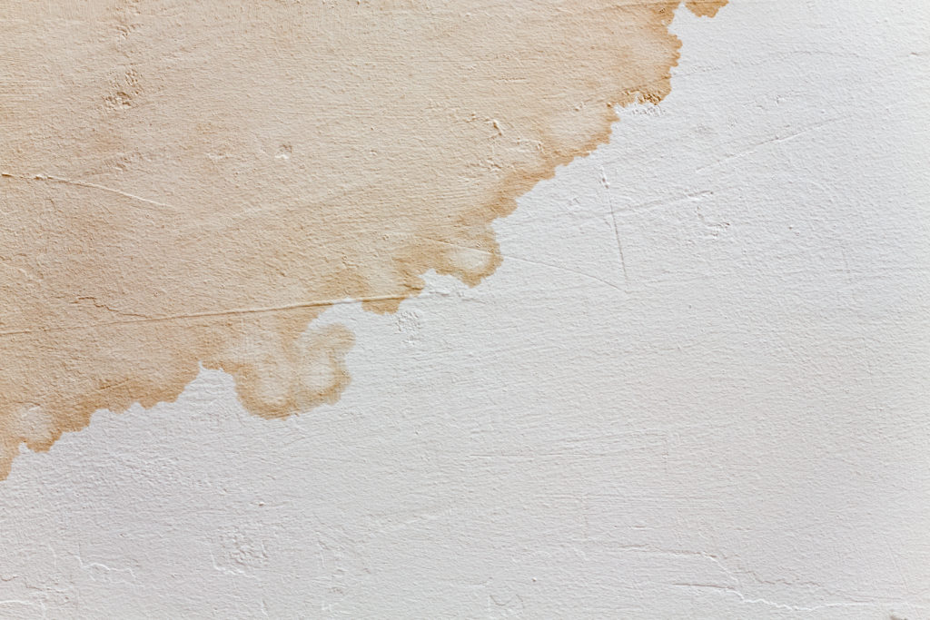 The Connection Between Undetected Water Leaks and Mold