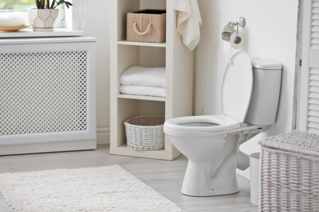 What to Check When a Toilet Isn't Refilling